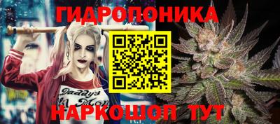 прущие крисы Тверь