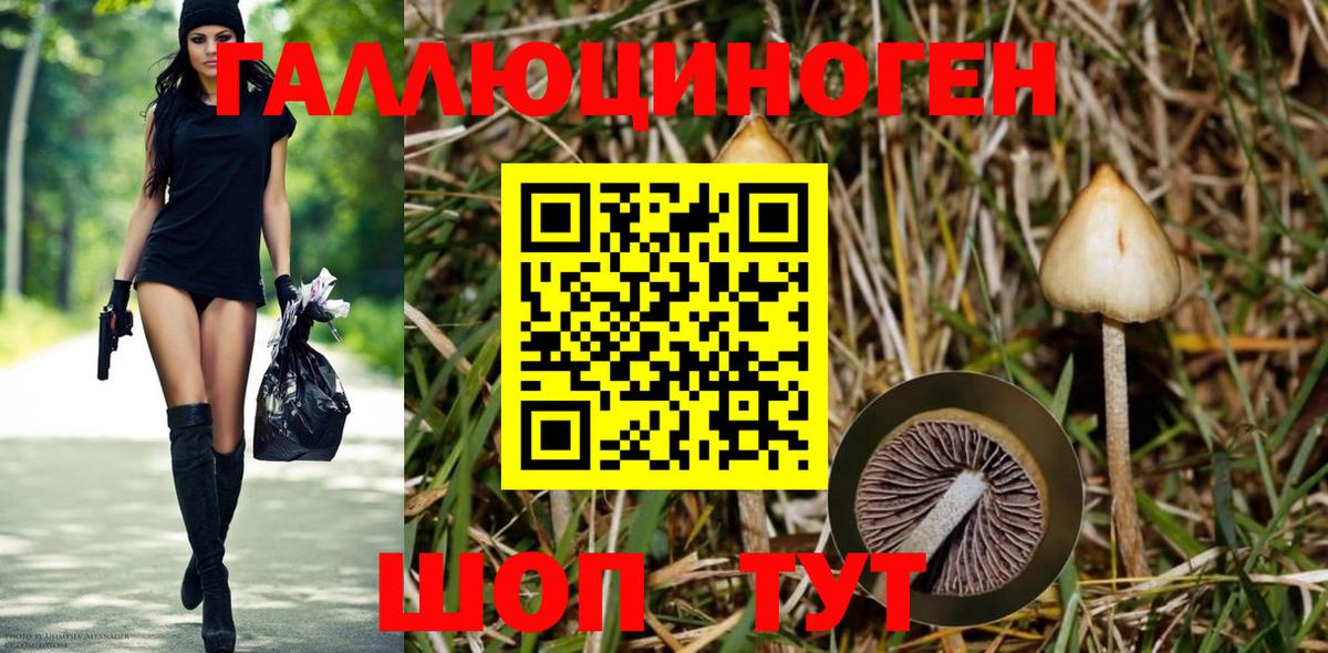 Галлюциногенные грибы мицелий Новотроицк